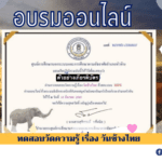 ทดสอบวัดความรู้ เรื่อง วันช้างไทย