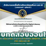 เรื่องการวัดประเมินผลทักษะด้านการเข้าใจดิจิทัล (Digital Literacy) 13