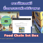 แจกสื่อการสอนฟรี Food Chain Set Box สื่อการสอนวิทยาศาสตร์เรื่องห่วงโซ่อาหาร