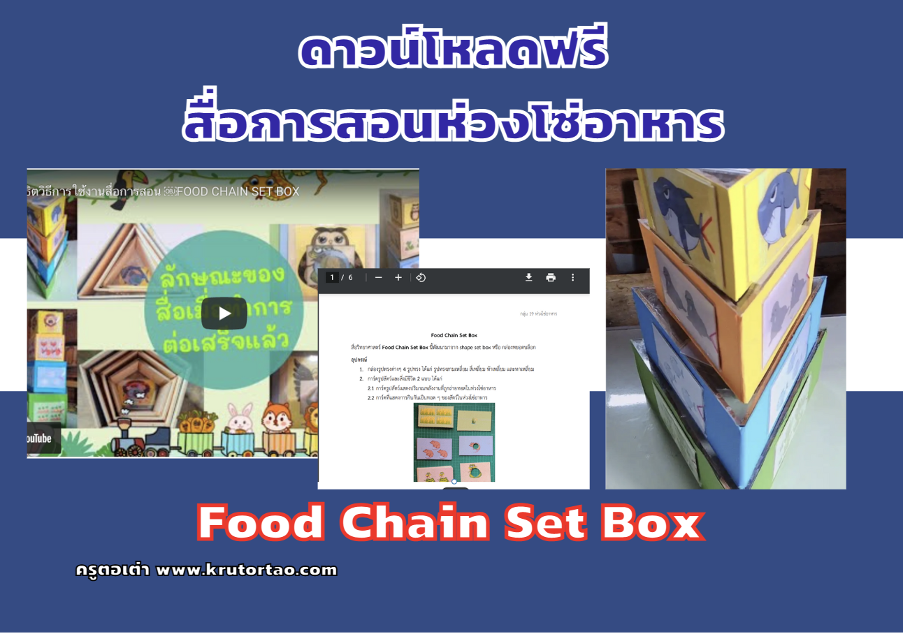 แจกสื่อการสอนฟรี Food Chain Set Box สื่อการสอนวิทยาศาสตร์เรื่องห่วงโซ่อาหาร