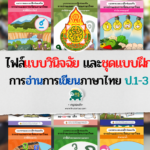 ไฟล​์แบบวินิจฉัย และชุดแบบฝึก การอ่านการเขียนภาษาไทย ป.1-3