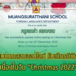 แบบทดสอบออนไลน์ christmas quiz