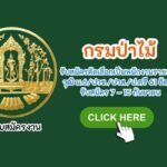 กรมป่าไม้ รับสมัครคัดเลือกเป็นพนักงานราชการ วุฒิ ม.6 ปวช. ปวส. ป.ตรี 61 อัตรา รับสมัคร 7 – 15 กันยายน