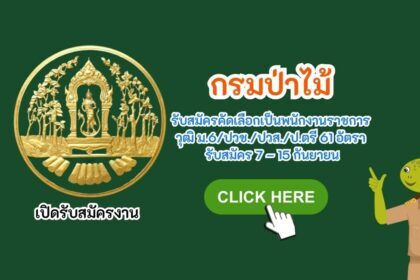 กรมป่าไม้ รับสมัครคัดเลือกเป็นพนักงานราชการ วุฒิ ม.6 ปวช. ปวส. ป.ตรี 61 อัตรา รับสมัคร 7 – 15 กันยายน