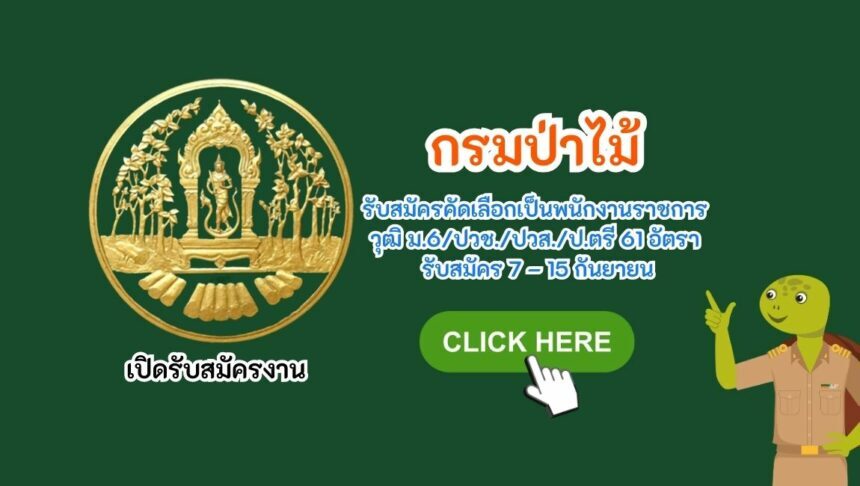 กรมป่าไม้ รับสมัครคัดเลือกเป็นพนักงานราชการ วุฒิ ม.6 ปวช. ปวส. ป.ตรี 61 อัตรา รับสมัคร 7 – 15 กันยายน