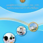 แผนปฏิบัติราชการระยะ 5 ปี (พ.ศ.2566 – 2570) โดย สำนักนโยบายและแผนการศึกษาขั้นพื้นฐาน สำนักงานคณะกรรมการการศึกษาขั้นพื้นฐาน กระทรวงศึกษาธิการ