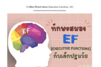 ไฟล์ E-book การพัฒนาทักษะทางสมอง (Executive Functions : EF) กับเด็กปฐมวัย สำหรับครู